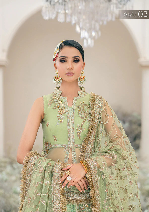 Manno | Green Organza Embellished Dress