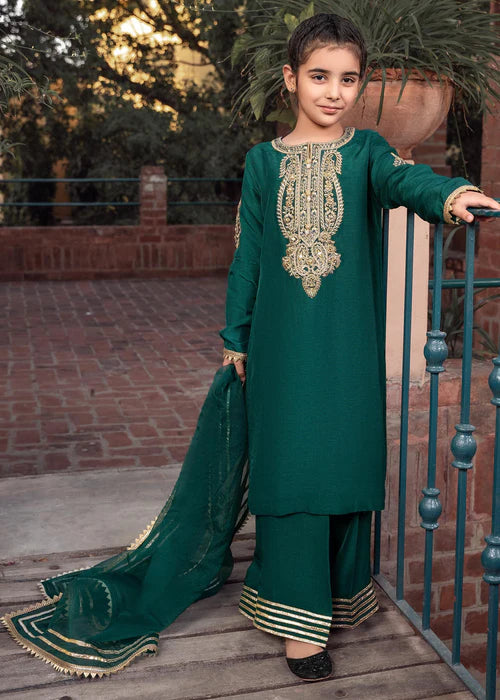 Rani | Girls Green Khaddi Silk Embroidered Suit