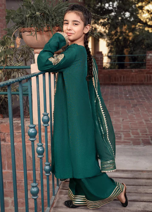 Rani | Girls Green Khaddi Silk Embroidered Suit