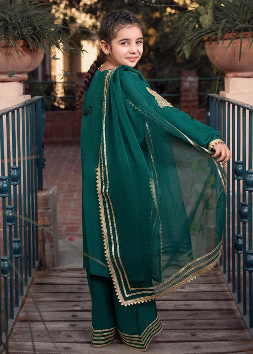 Rani | Girls Green Khaddi Silk Embroidered Suit