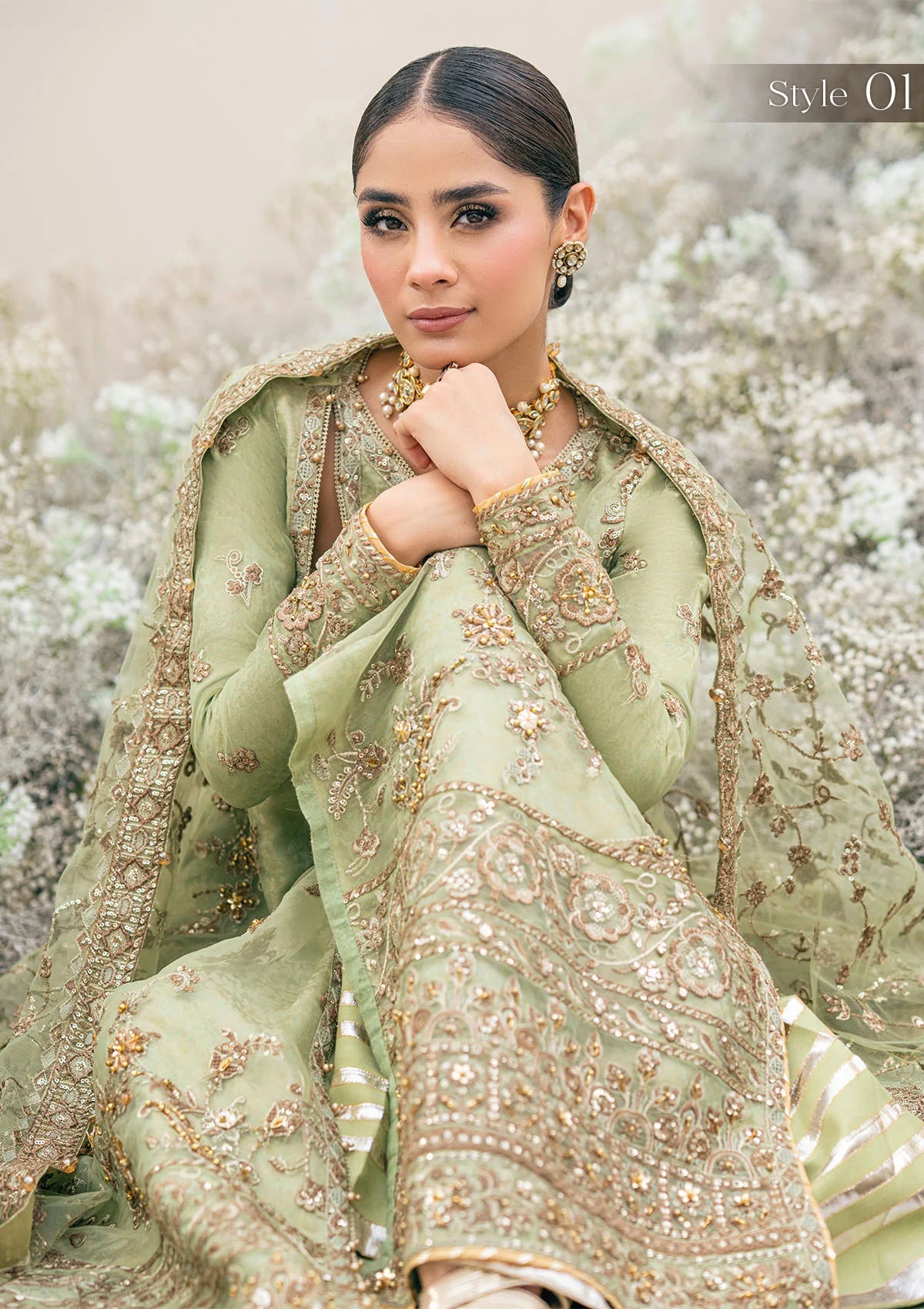 Manno | Green Organza Embellished Dress