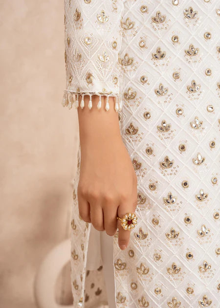 Mahnurisa | White Chiffon Embroidered Suit