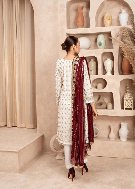 Mahnurisa | White Chiffon Embroidered Suit