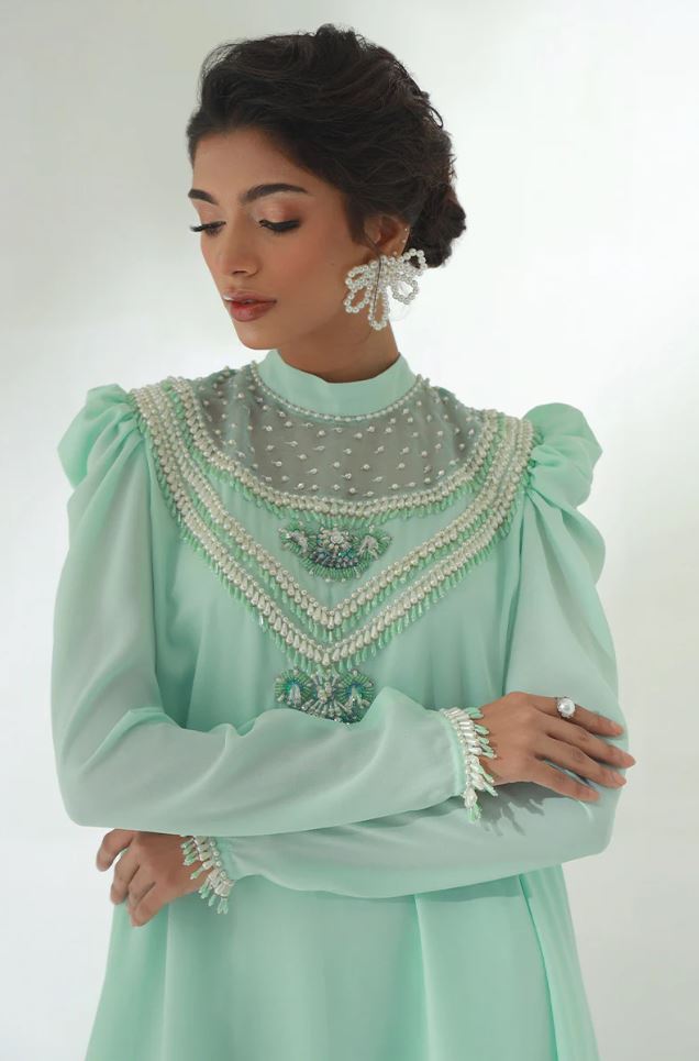 Fauna | Sea Green Chiffon Embellished Co Ord Set