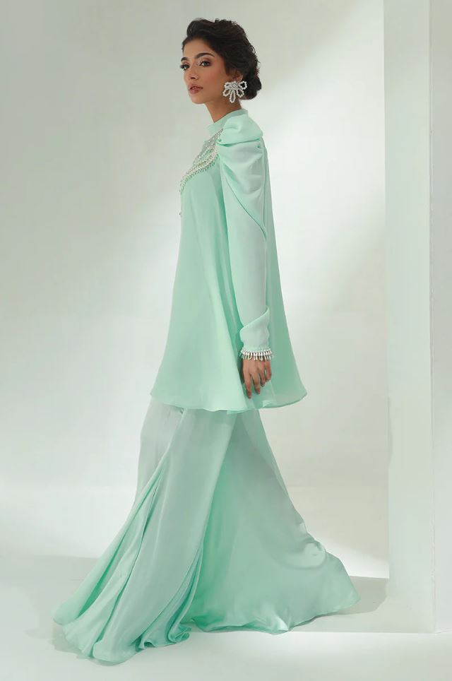 Fauna | Sea Green Chiffon Embellished Co Ord Set