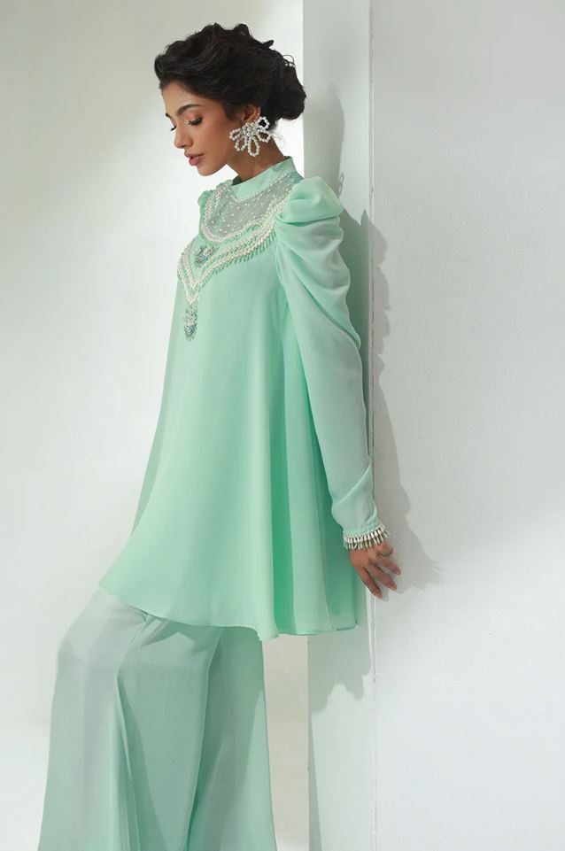Fauna | Sea Green Chiffon Embellished Co Ord Set