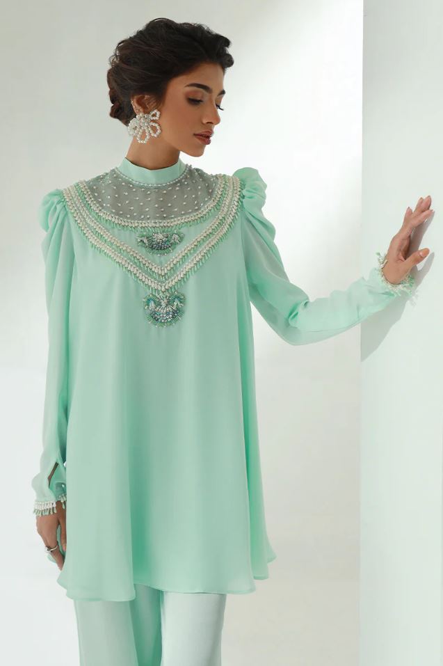 Fauna | Sea Green Chiffon Embellished Co Ord Set