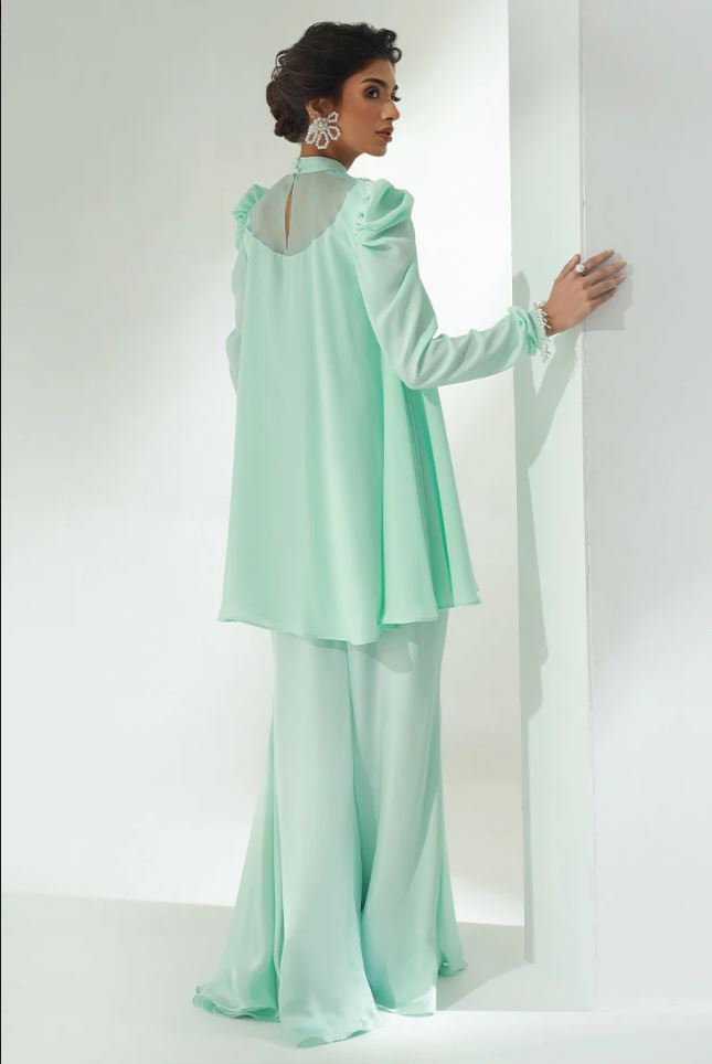 Fauna | Sea Green Chiffon Embellished Co Ord Set