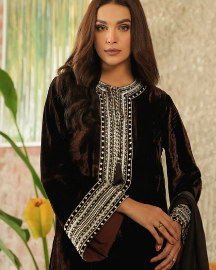 1 Piece | Brown Velvet Embroidered Dress