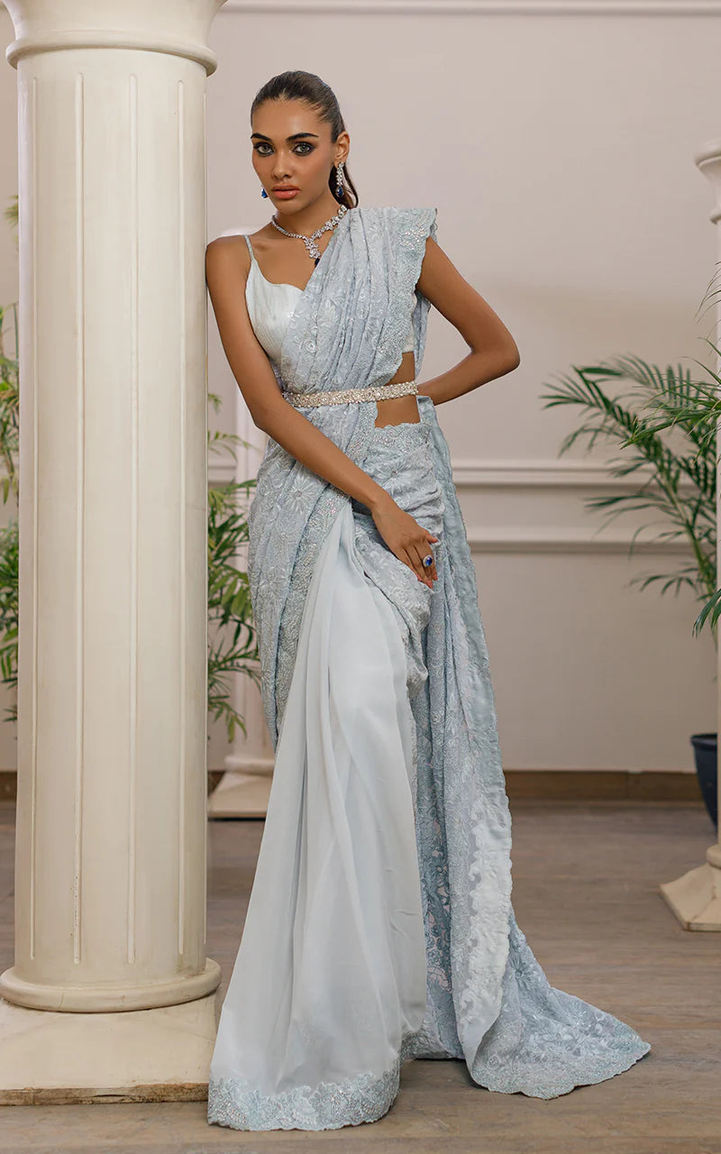 Dana | Embroidered Net Saree