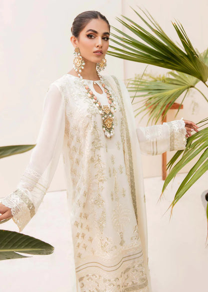 Sofia | Embroidered Chiffon