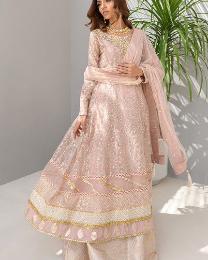 Daisy Pink | Pink Organza Embellished Sharara