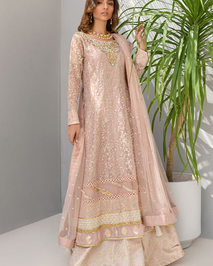 Daisy Pink | Pink Organza Embellished Sharara
