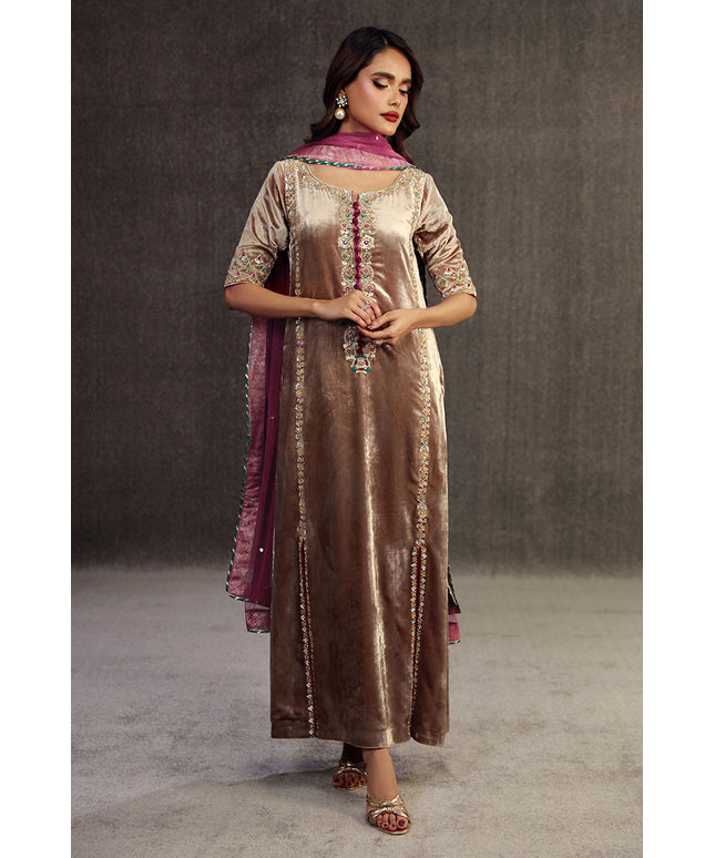 Celestial Pearl | Champaign Velvet Embellished Suit