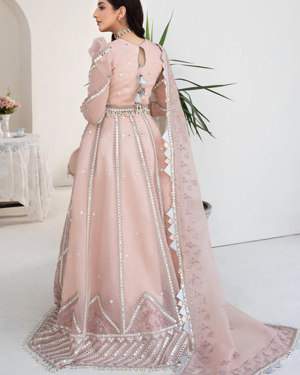 Pink Rosette | Embroidered Mirror Work Lehenga
