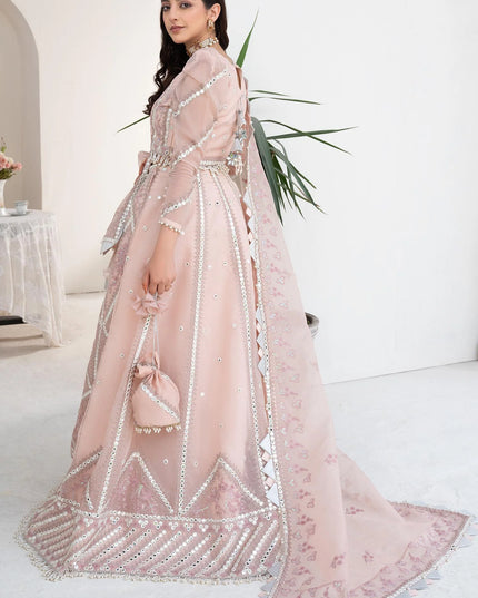 Pink Rosette | Embroidered Mirror Work Lehenga