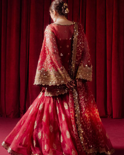 Mohsin Naveed Ranjha | Red Organza Embroidered Gharara