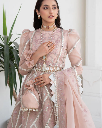 Pink Rosette | Embroidered Mirror Work Lehenga