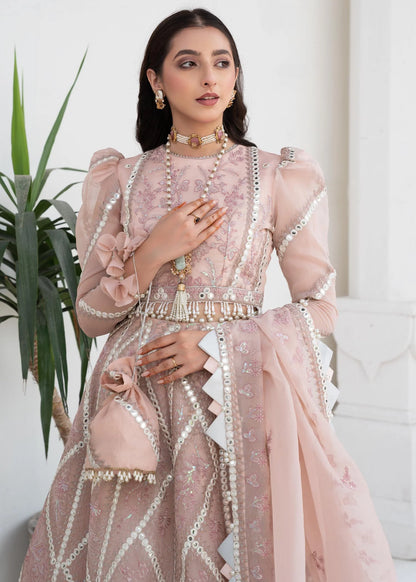Pink Rosette | Embroidered Mirror Work Lehenga
