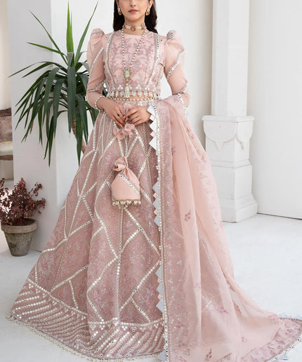 Pink Rosette | Embroidered Mirror Work Lehenga