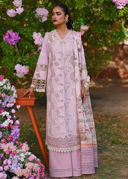 Qalamkar | Nova Summer Lawn Embroidered