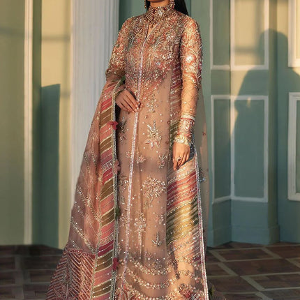 Collection image for: ÉLAN