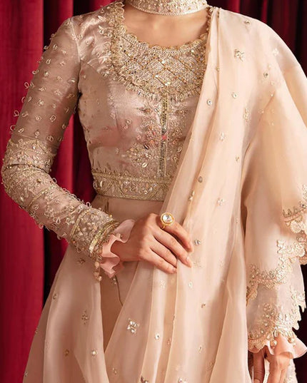 Reema | Beige Organza Embellished Saree