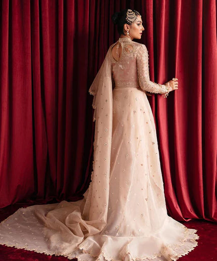 Reema | Beige Organza Embellished Saree