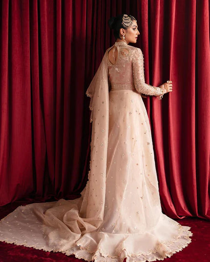 Reema | Beige Organza Embellished Saree