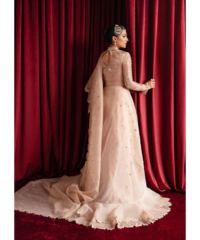 Reema | Beige Organza Embellished Saree