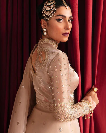 Reema | Beige Organza Embellished Saree