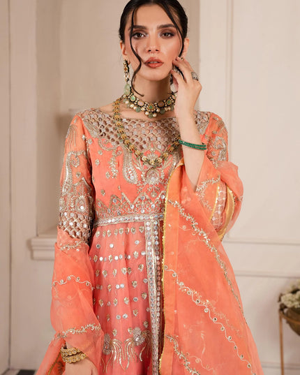 Mehr | Wedding Wear Embroidered Gown