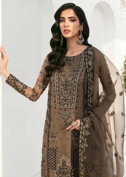 Zinia | Organza Embroidered Dress