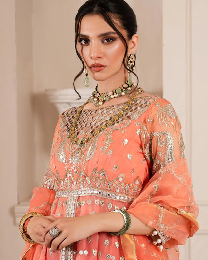 Mehr | Wedding Wear Embroidered Gown