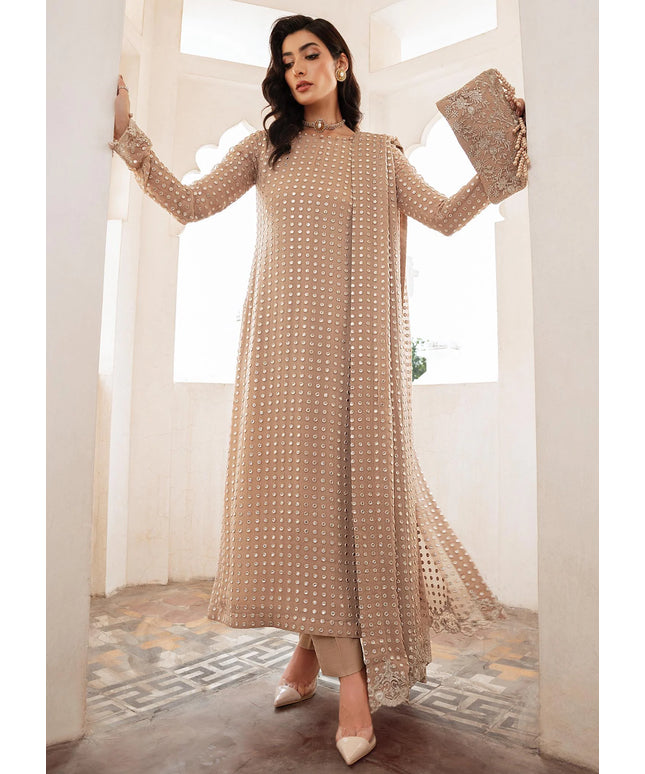 Salina | Embellished Chiffon Chikenkari