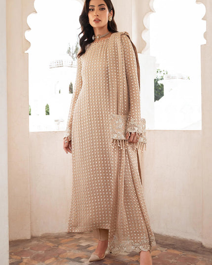 Salina | Beige Chiffon Chikenkari Suit