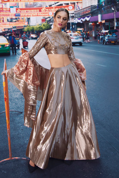 Leur | Brown Silk Embellished Lehenga Choli