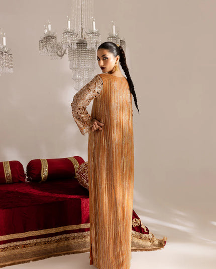 Hala | Rust Cut Work Chiffon Kaftan
