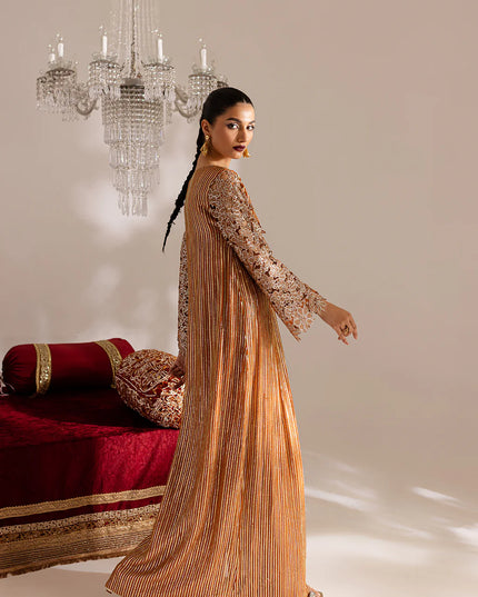 Hala | Rust Cut Work Chiffon Kaftan