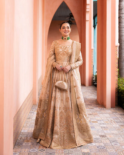 Faiza Saqlain | Beige Net Embroidered Maxi Dress