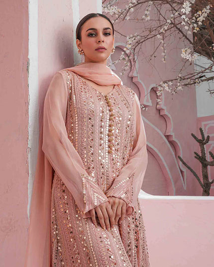 Ufaq | Peach Chikenkari Embellished Gown
