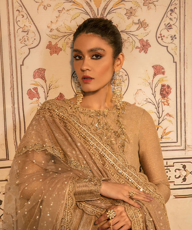 Faiza Saqlain | Embellished Zari Net Pishawas Churidar Dress