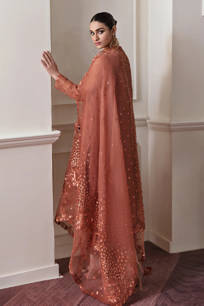 BAROQUE | Embroidered Chiffon Suit