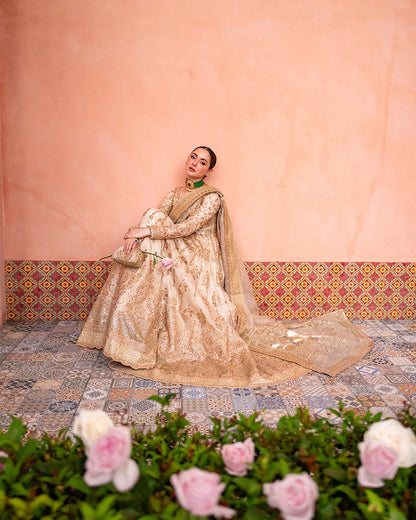 Faiza Saqlain | Beige Net Embroidered Maxi Dress
