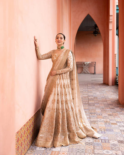 Faiza Saqlain | Beige Net Embroidered Maxi Dress