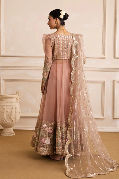 AZITA | Peach Beige Embroidered Organza Pishwas