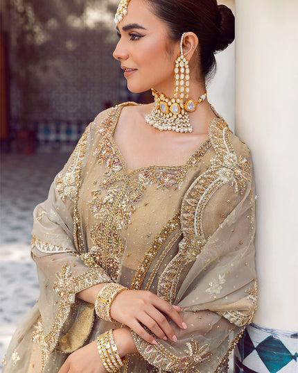 Ada | Dusty Green Organza Embellished Sharara