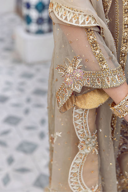 Ada | Dusty Green Organza Embellished Sharara
