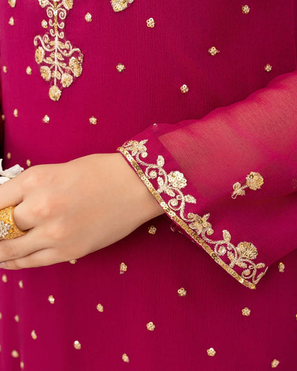 EREM | Pink Chiffon Embroidered Suit