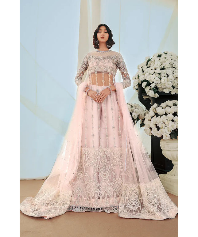 Aiza | Pink Net Hand Embellished Silk Sharara